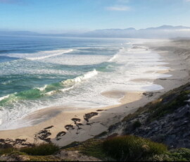 Walker Bay beach